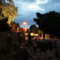 zuidenveld 2013